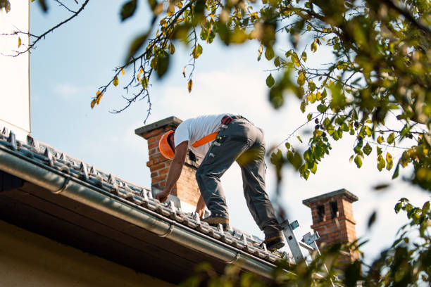 Best Flat Roof Repair Services  in Mazomanie, WI