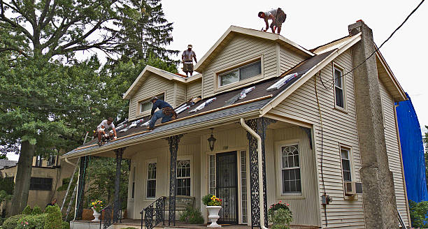 Best Roof Gutter Cleaning  in Mazomanie, WI